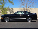 Thumbnail image of 2007 Ford Shelby GT500 at Midline Motors