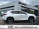 Thumbnail image of 2025 Lexus NX 350h at Lexus of Smithtown