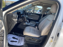 Thumbnail image of 2023 Ford Explorer at Anderson Ford South