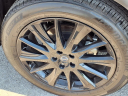 Thumbnail image of 2024 Nissan Murano at Cecil Atkission Ford Lincoln Del Rio