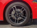 Thumbnail image of 2023 Ford Mustang at CentralFloridaChryslerJeepDodgeUSED of Orlando, FL