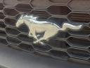 Thumbnail image of 2023 Ford Mustang at CentralFloridaChryslerJeepDodgeUSED of Orlando, FL