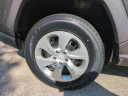 Thumbnail image of 2021 Toyota RAV4 at Wesley Chapel Nissan