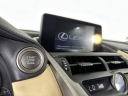 Thumbnail image of 2019 Lexus NX 300 at Pensacola Honda NEW