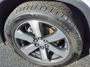 Thumbnail image of 2019 Chevrolet Traverse at Serra Buick Gmc Champaign