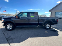 Thumbnail image of 2016 Ford F-250 Super Duty at Showcase Auto Sales LLC