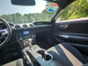 Thumbnail image of 2019 Ford Mustang at Phelps Chevrolet Greenville - New