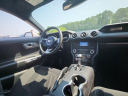 Thumbnail image of 2019 Ford Mustang at Phelps Chevrolet Greenville - New