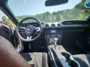 Thumbnail image of 2019 Ford Mustang at Phelps Chevrolet Greenville - New