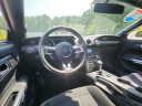 Thumbnail image of 2019 Ford Mustang at Phelps Chevrolet Greenville - New