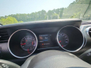 Thumbnail image of 2019 Ford Mustang at Phelps Chevrolet Greenville - New