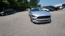 Thumbnail image of 2019 Ford Mustang at Phelps Chevrolet Greenville - New