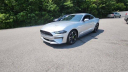 Thumbnail image of 2019 Ford Mustang at Phelps Chevrolet Greenville - New