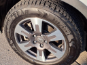 Thumbnail image of 2019 Honda Ridgeline at Serra Buick Gmc Champaign
