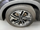 Thumbnail image of 2019 Hyundai SANTA FE at Toyota of Tampa Bay NEW