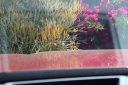 Thumbnail image of 2024 Toyota Grand Highlander at Browning Mazda