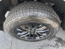 Thumbnail image of 2025 Ford F-150 at Jacky Jones Ford Hayesville New
