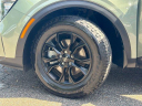 Thumbnail image of 2023 Kia Sportage at JenkinsKiaOfGainesville-New of Gainesville, FL