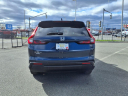 Thumbnail image of 2024 Honda CR-V at Kelly Honda