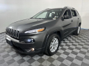 Thumbnail image of 2018 Jeep Cherokee at Auto Expo 95