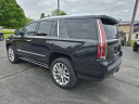 Thumbnail image of 2019 Cadillac Escalade at Cook Chevrolet