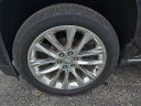 Thumbnail image of 2019 Cadillac Escalade at Cook Chevrolet