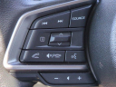Thumbnail image of 2024 Subaru Outback at Jenkins Subaru of Ocala - NEW