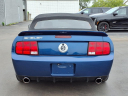 Thumbnail image of 2008 Ford Shelby GT500 at Dm Motors
