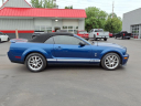 Thumbnail image of 2008 Ford Shelby GT500 at Dm Motors
