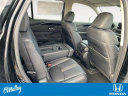 Thumbnail image of 2025 Honda Pilot at O'Malley Honda