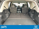 Thumbnail image of 2025 Honda Pilot at O'Malley Honda