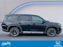 Thumbnail image of 2025 Honda Pilot at O'Malley Honda