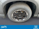 Thumbnail image of 2025 Honda Pilot at O'Malley Honda