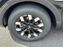Thumbnail image of 2025 Hyundai SANTA CRUZ at Ed Voyles Hyundai Used