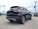 Thumbnail image of 2022 Ford Escape at USED - Serra Traverse City
