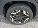 Thumbnail image of 2024 Kia Seltos at DadelandDodgeChryslerJeepRam of Miami, FL