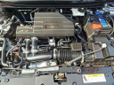 Thumbnail image of 2022 Honda CR-V at J L Freed Honda (Used)
