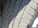 Thumbnail image of 2019 Dodge Challenger at Szott I96 Chrysler Dodge Jeep Ram