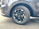 Thumbnail image of 2025 Kia Sorento at JenkinsKiaOfGainesville-New of Gainesville, FL