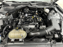 Thumbnail image of 2022 Ford Mustang at Mccluskey Chevrolet Kings Automall