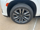 Thumbnail image of 2023 Cadillac Escalade at Wilson Auto Family