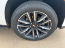 Thumbnail image of 2023 Cadillac Escalade at Wilson Auto Family