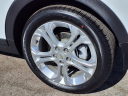 Thumbnail image of 2021 Chevrolet Bolt EV at Martin Chevrolet
