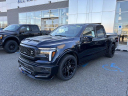 Thumbnail image of 2025 Ford F-150 at All American Ford Paramus