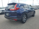Thumbnail image of 2019 Honda CR-V at Nissan of Fort Myers-New