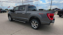 Thumbnail image of 2022 Ford F-150 at Bob Hurley Ponca Chrysler Jeep Dodge Ram