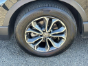 Thumbnail image of 2022 Honda CR-V at Millennium Honda