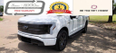 Thumbnail image of 2022 Ford F-150 Lightning at MC European