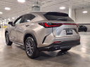 Thumbnail image of 2025 Lexus NX 350 at Ray Catena Lexus Monmouth