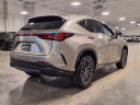 Thumbnail image of 2025 Lexus NX 350 at Ray Catena Lexus Monmouth